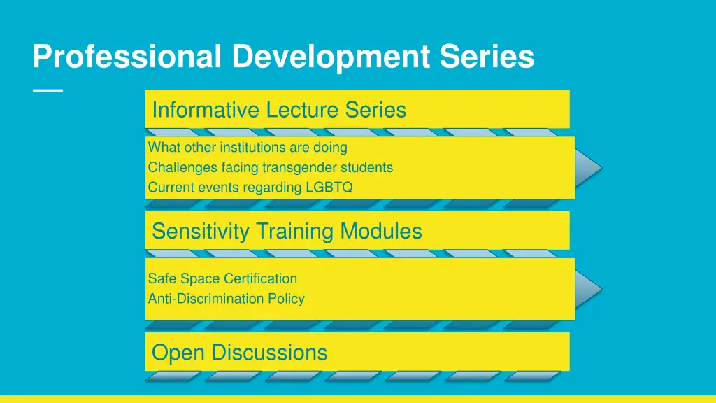 professional development series