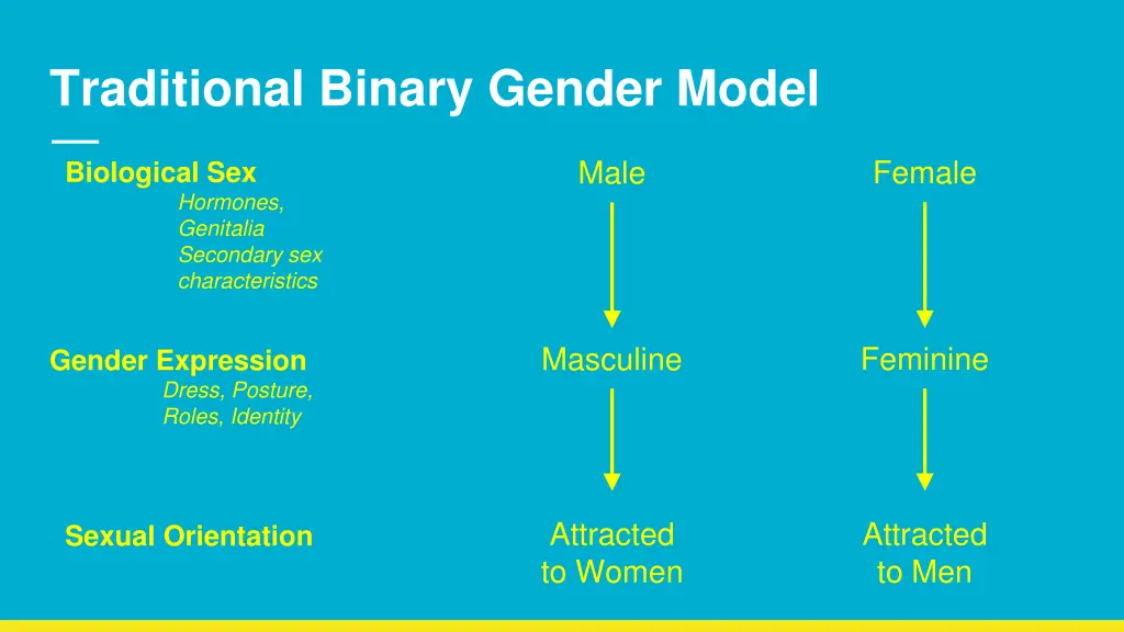 traditional binary gender model