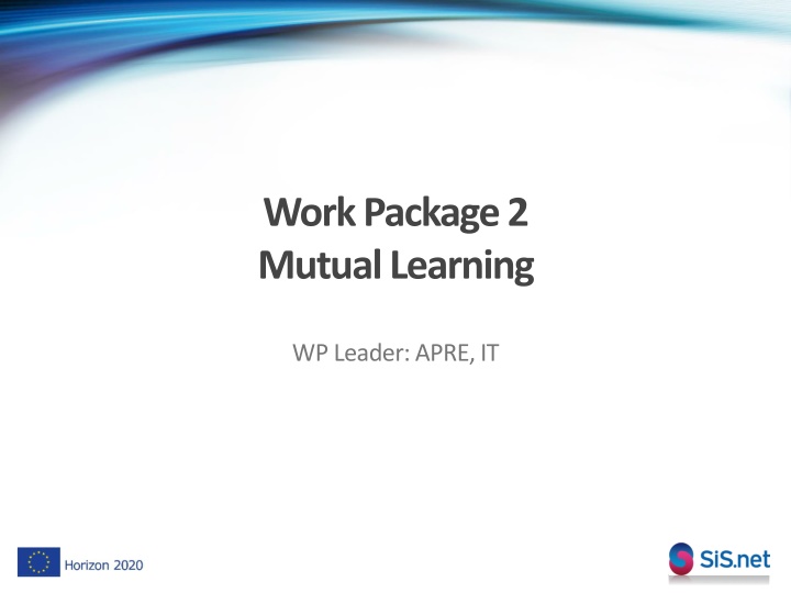 work package 2 mutual learning