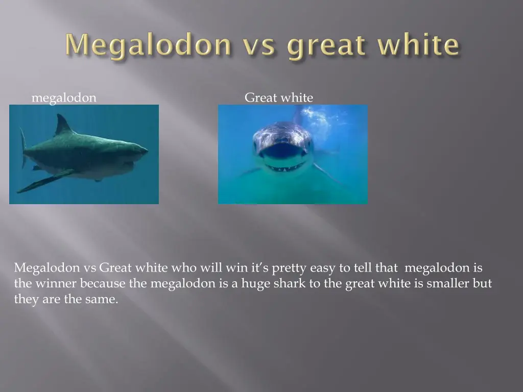 megalodon