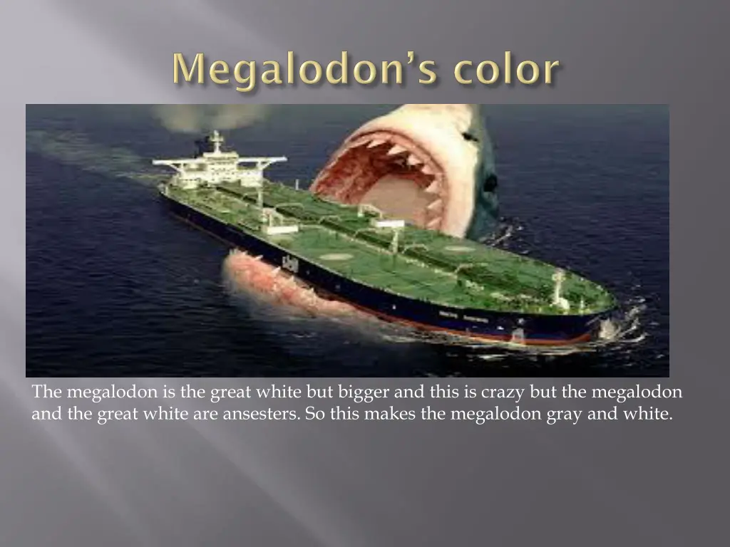 the megalodon is the great white but bigger