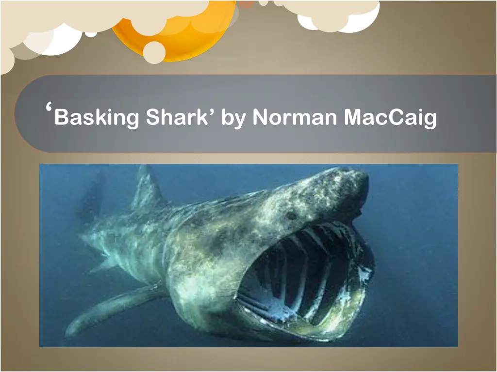 basking shark by norman maccaig 1