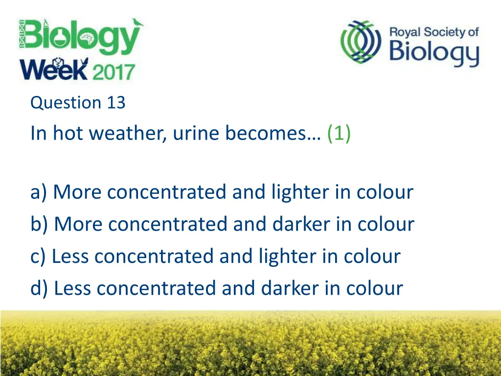 question 13 in hot weather urine becomes 1