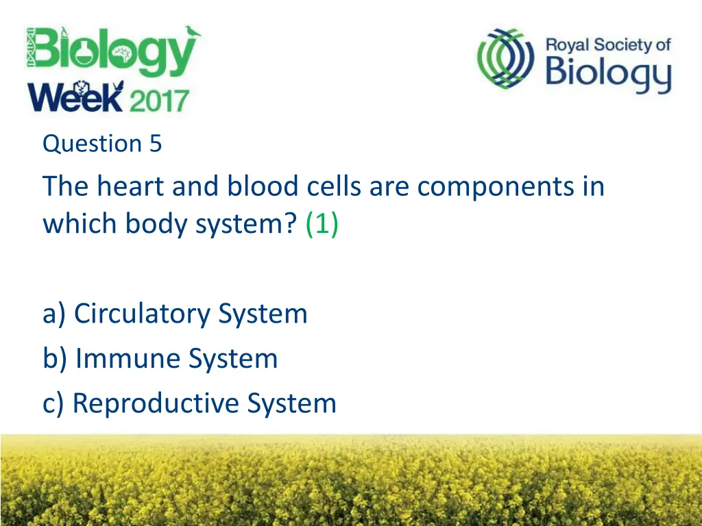 question 5 the heart and blood cells