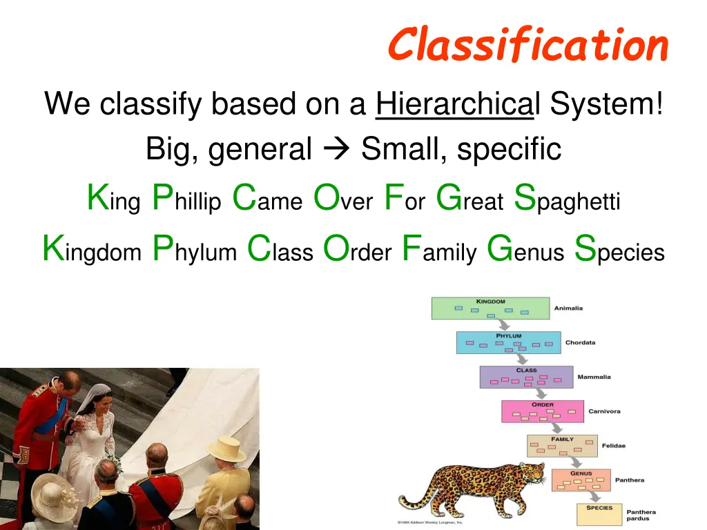 classification