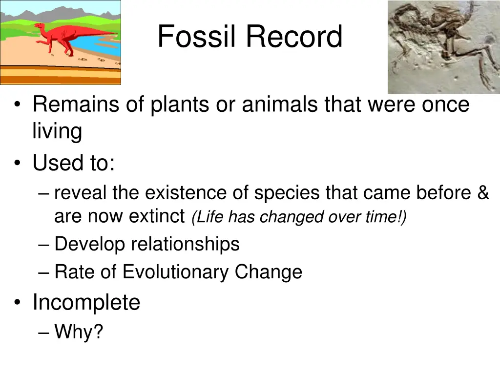 fossil record