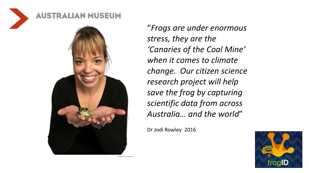 frogs are under enormous stress they