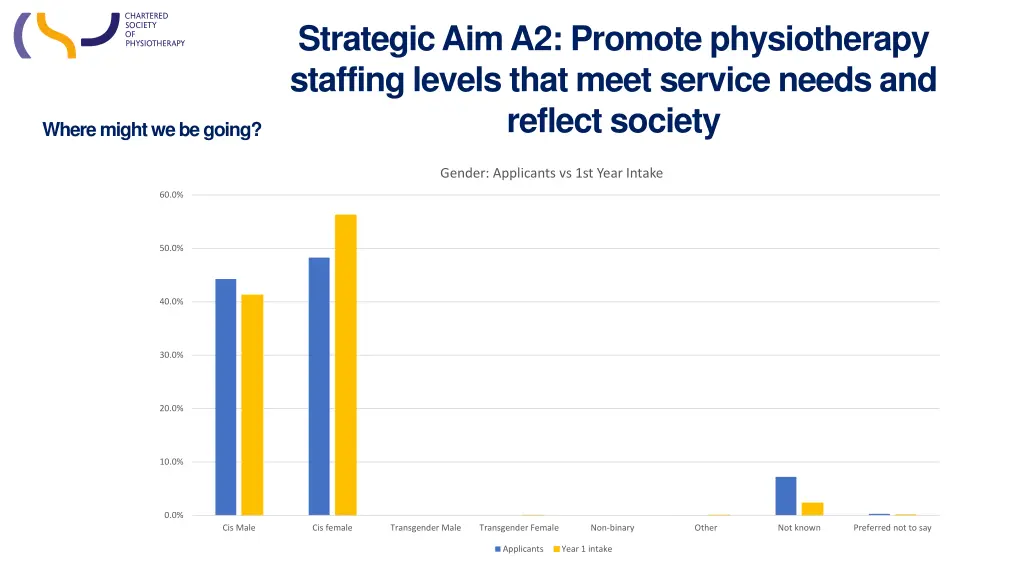 strategic aim a2 promote physiotherapy staffing 4