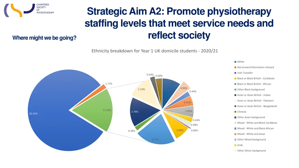 strategic aim a2 promote physiotherapy staffing 6