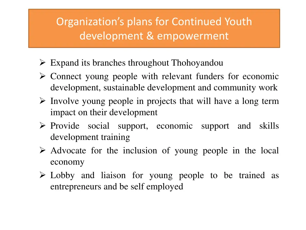 organization s plans for continued youth