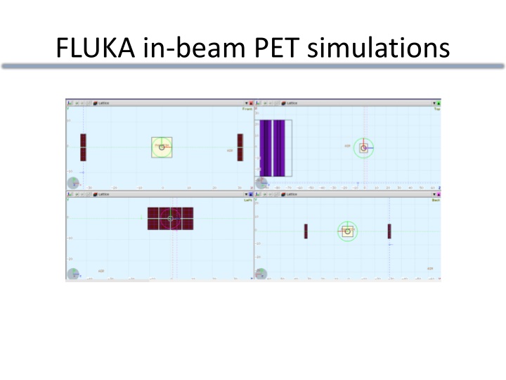 fluka in beam pet simulations