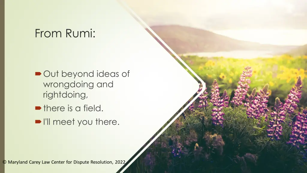 from rumi