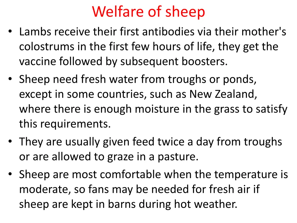 welfare of sheep