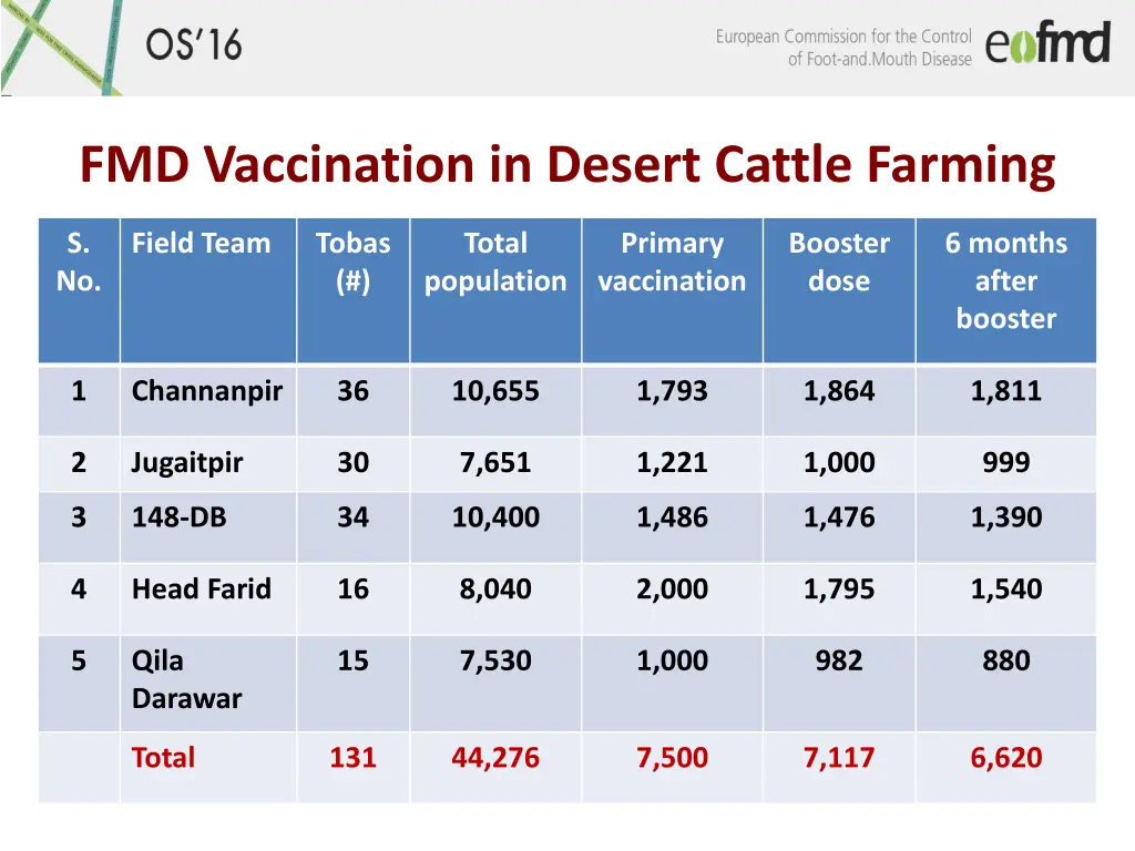 fmd vaccination in desert cattle farming