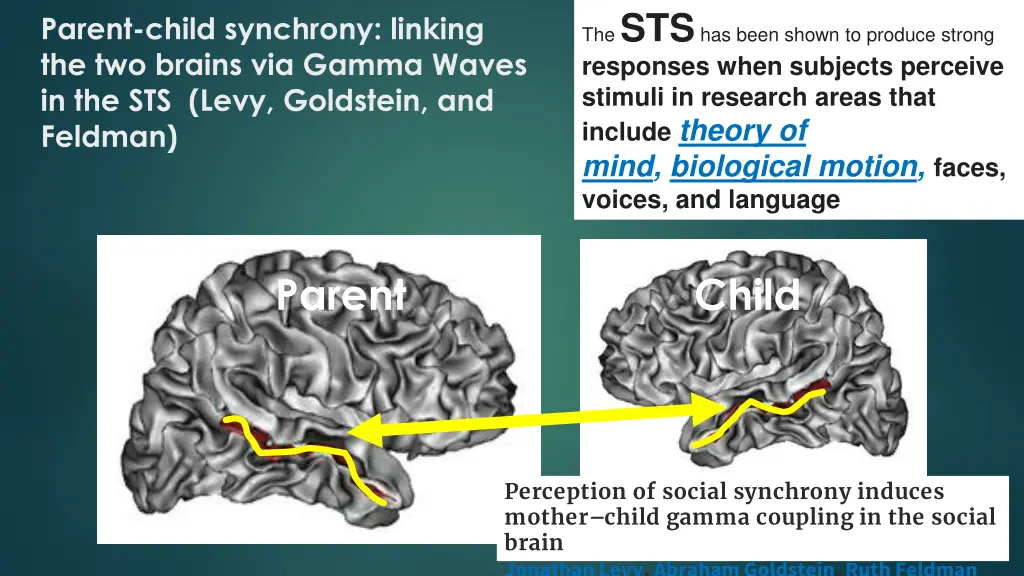 the sts has been shown to produce strong