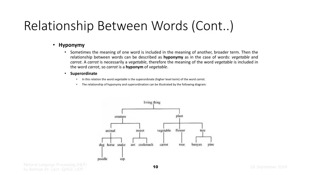 relationship between words cont