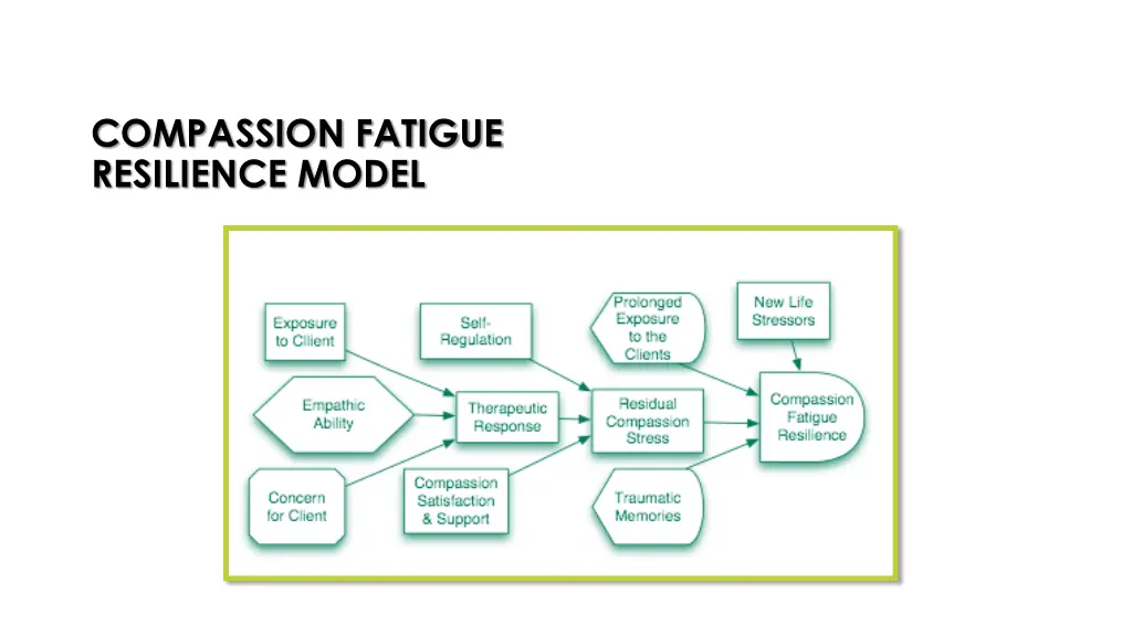 compassion fatigue resilience model