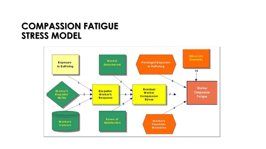 compassion fatigue stress model