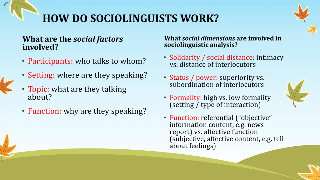 how do sociolinguists work