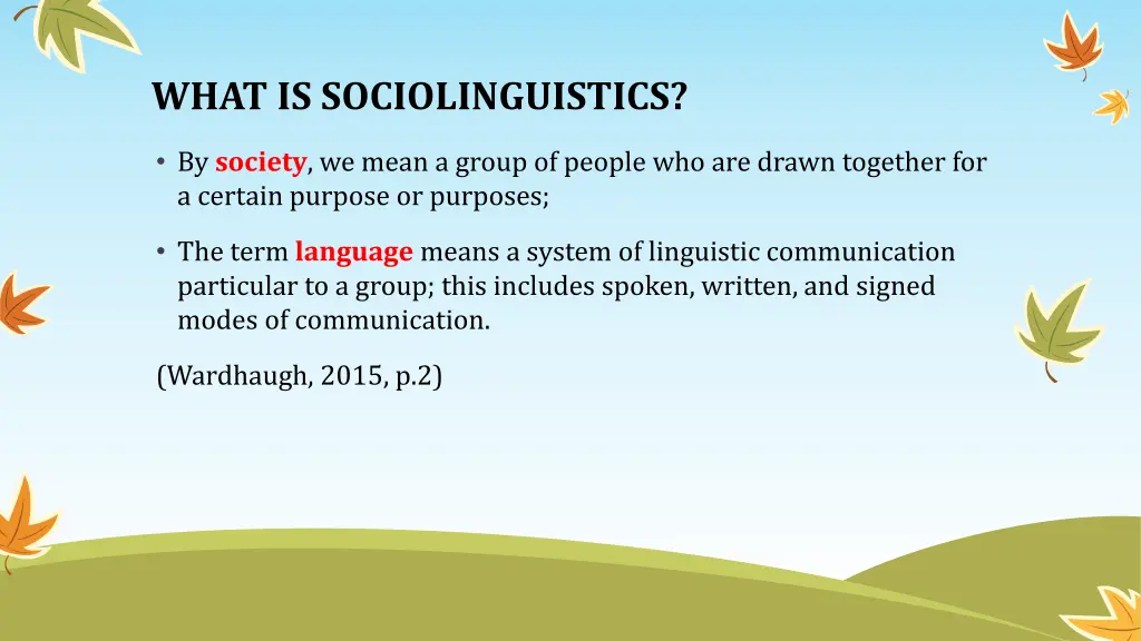 what is sociolinguistics 1