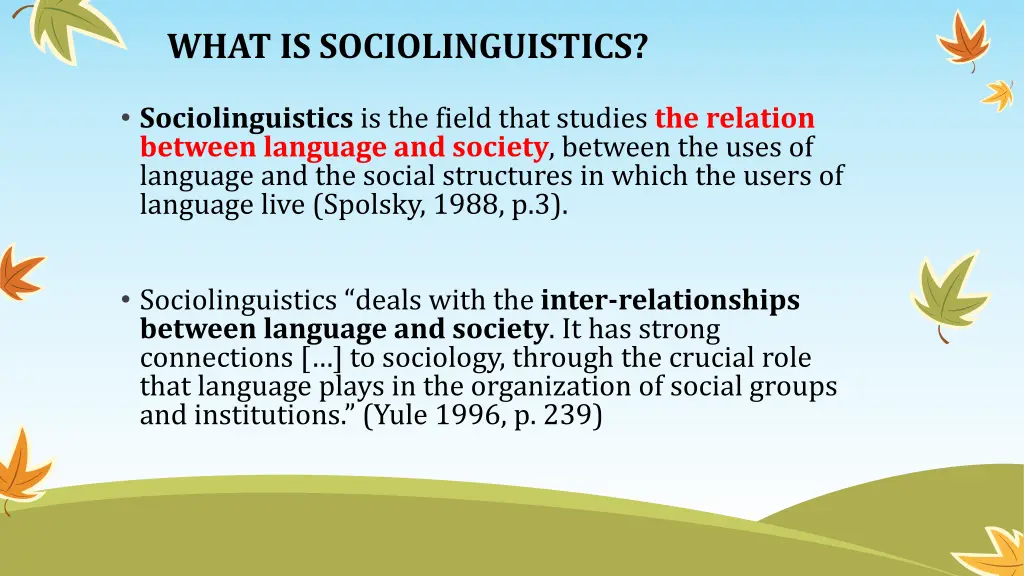 what is sociolinguistics