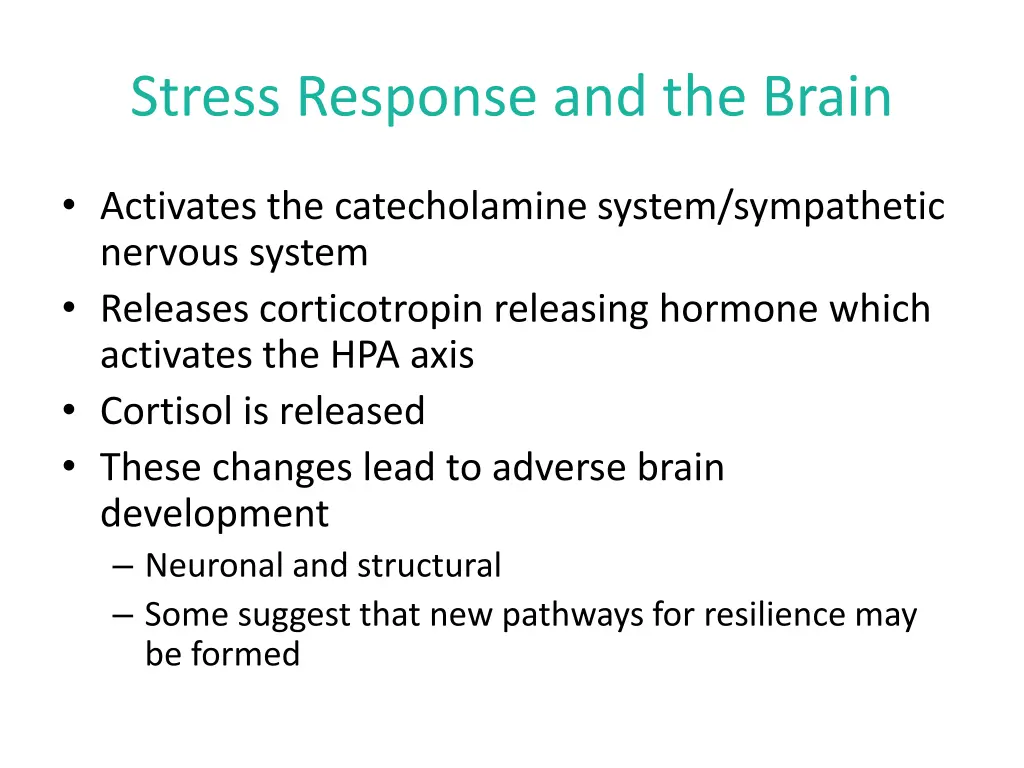 stress response and the brain