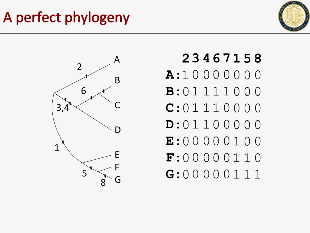 a perfect phylogeny 1