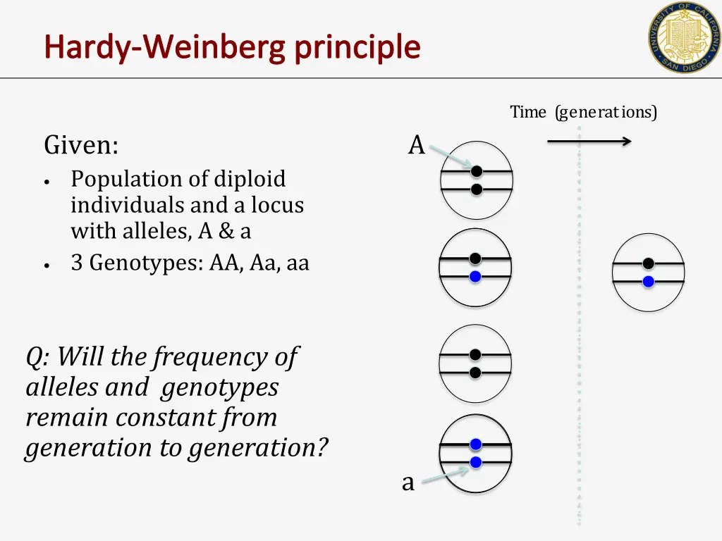 hardy weinberg principle