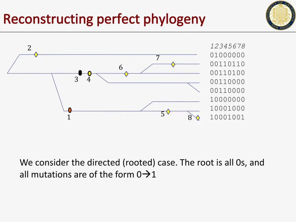 reconstructing perfect phylogeny