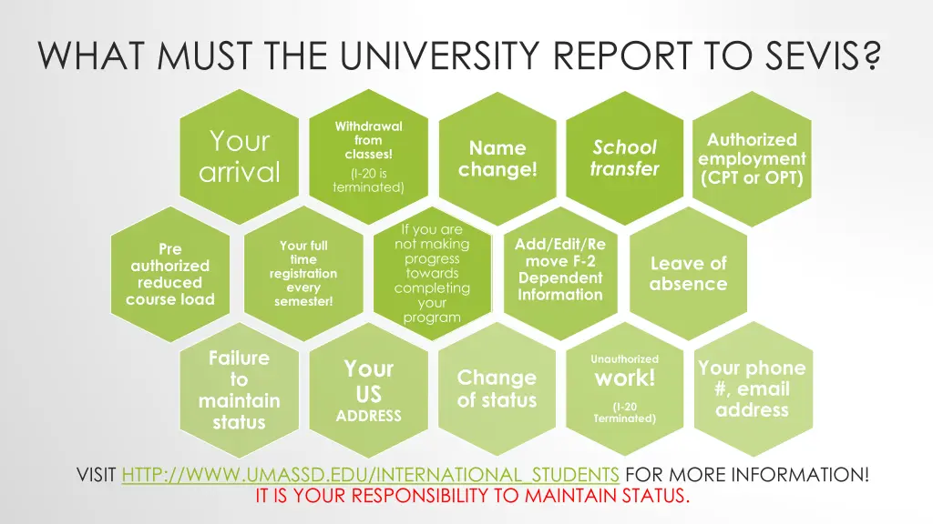 what must the university report to sevis