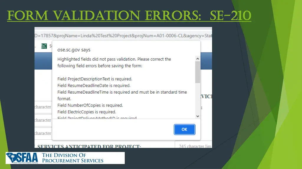 form validation errors se form validation errors