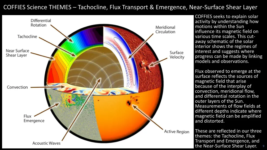 coffies science themes tachocline flux transport