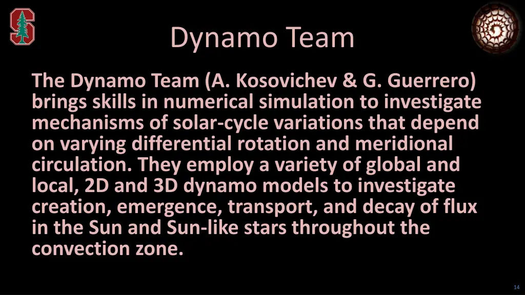 dynamo team