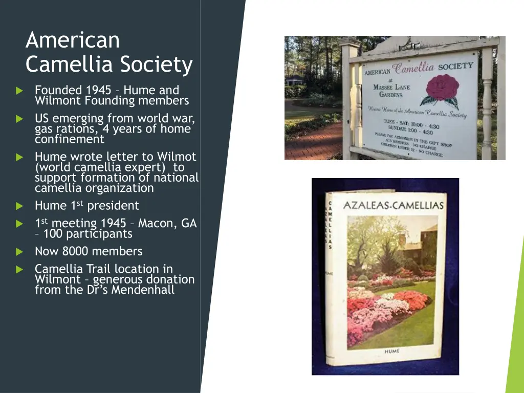 american camellia society