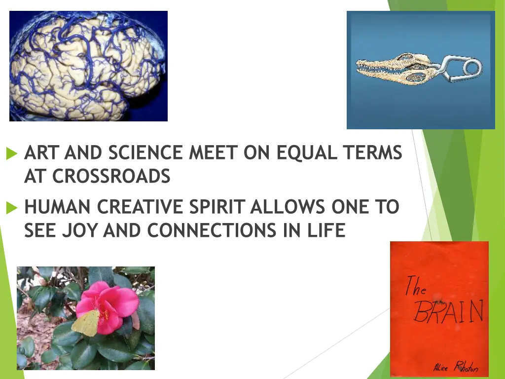 art and science meet on equal terms at crossroads