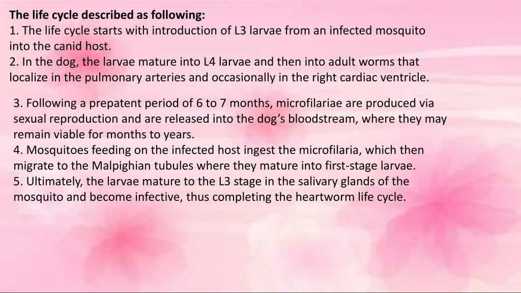 the life cycle described as following 1 the life