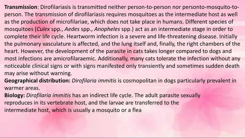 transmission dirofilariasis is transmitted