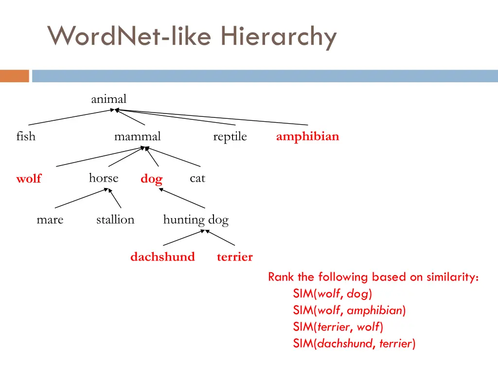 wordnet like hierarchy 1