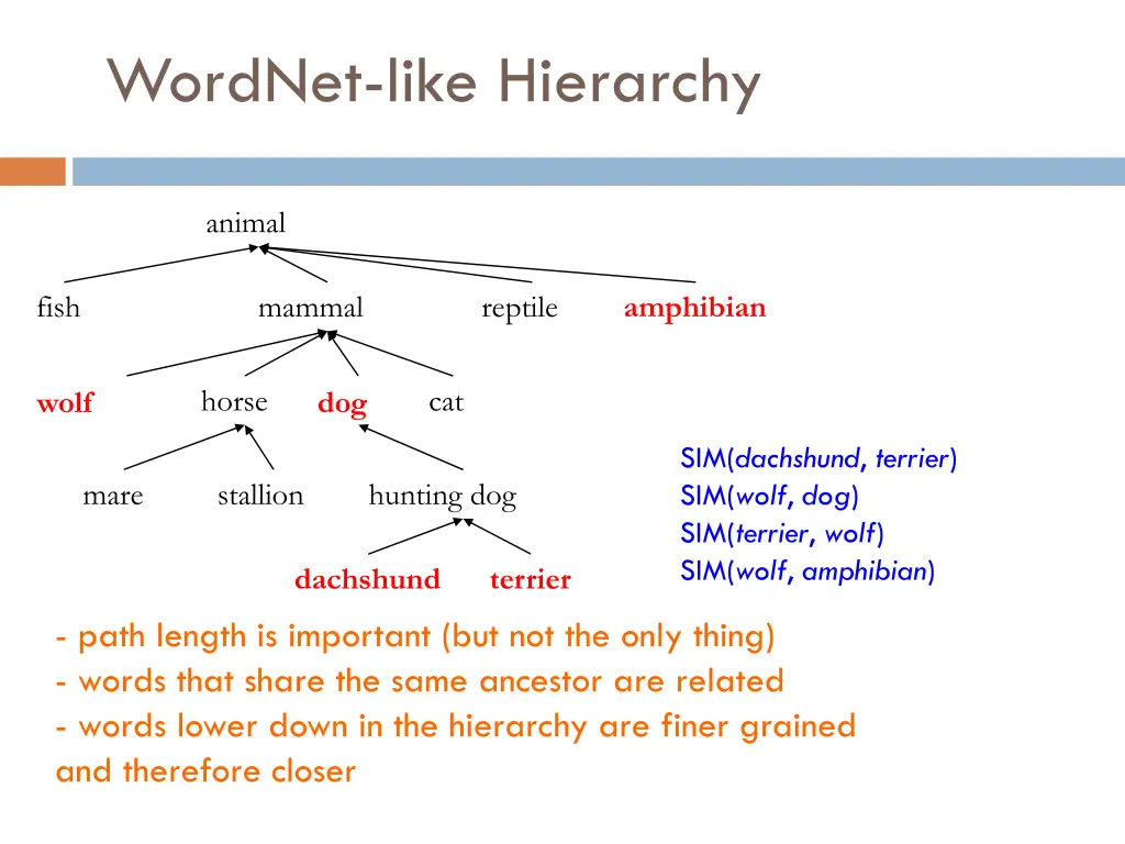 wordnet like hierarchy 3