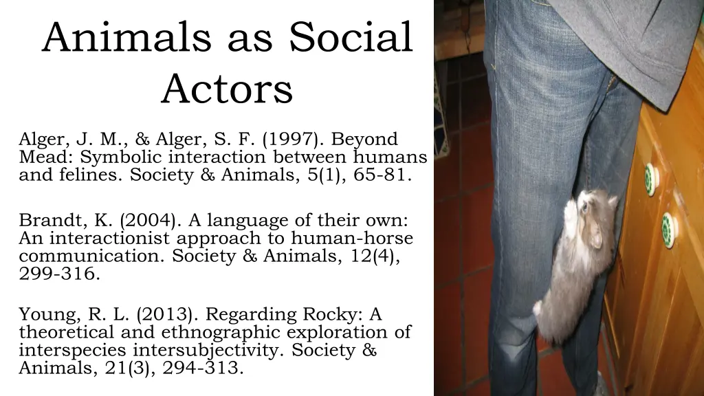 animals as social actors