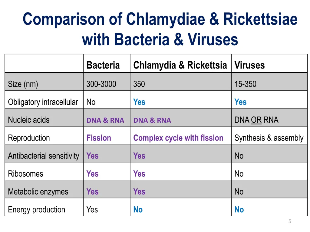 comparison of chlamydiae rickettsiae with