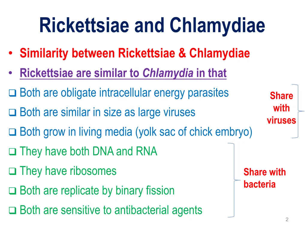 rickettsiae and chlamydiae