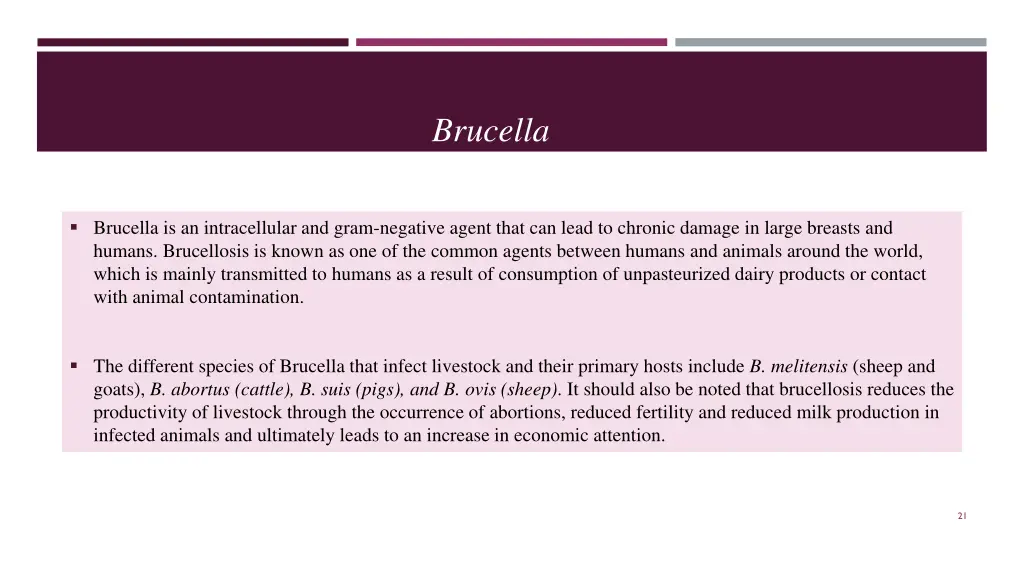 brucella