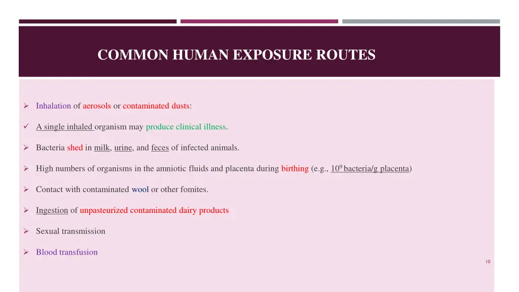 common human exposure routes