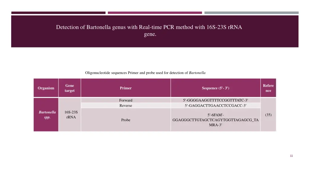 detection of bartonella genus with real time