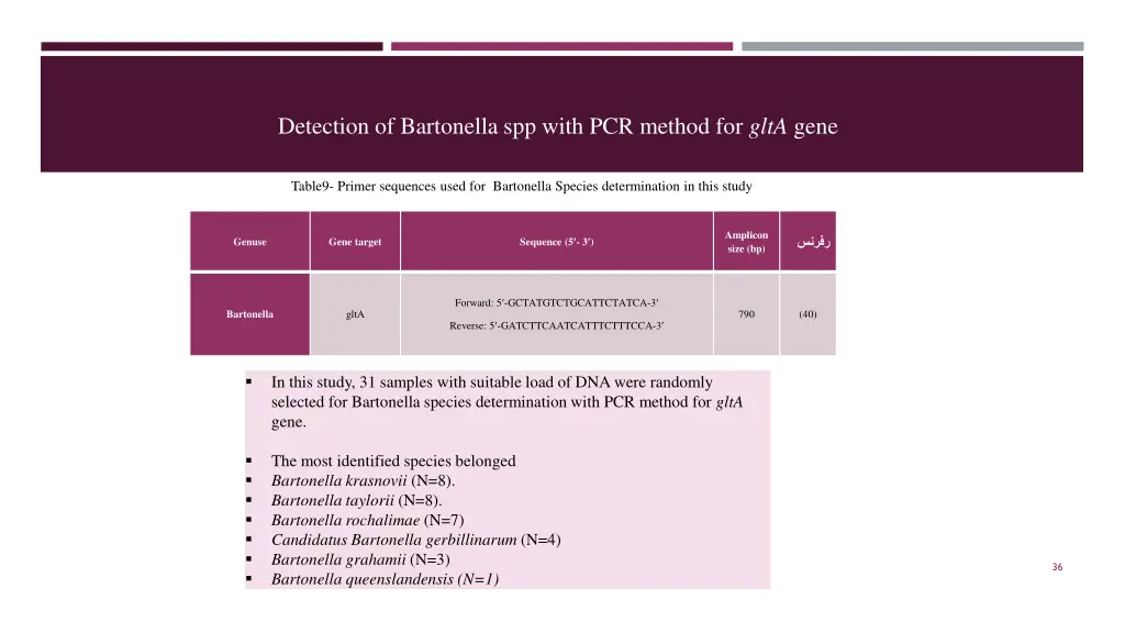 detection of bartonella spp with pcr method