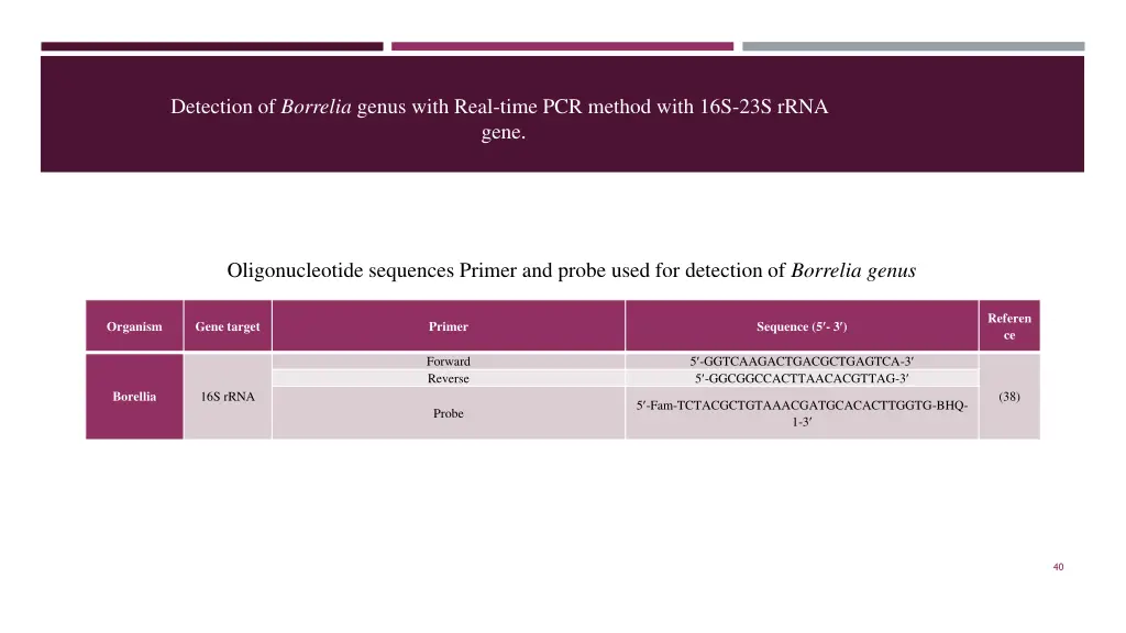 detection of borrelia genus with real time