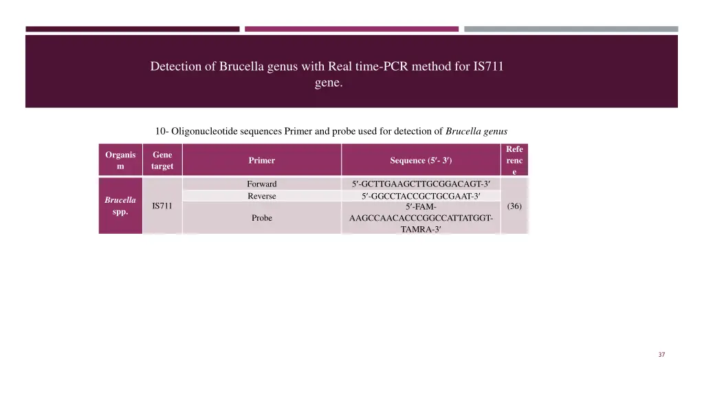 detection of brucella genus with real time