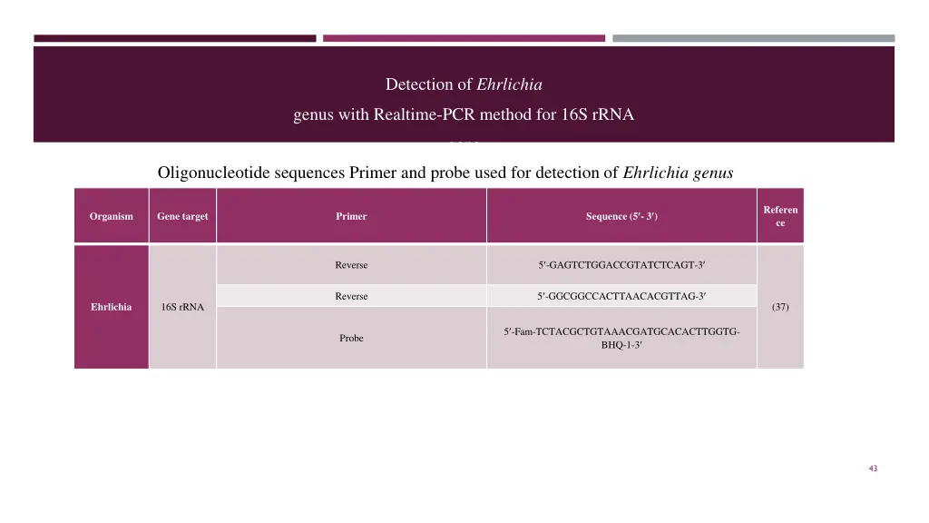 detection of ehrlichia