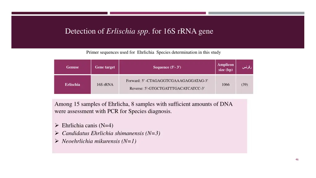 detection of erlischia spp for 16s rrna gene